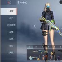 CF顶级英雄武器账号出售48v武器 23皮肤 1王者武器