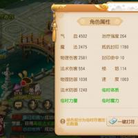 梦幻西游顶级账号 看图