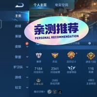 王者荣耀半成品号