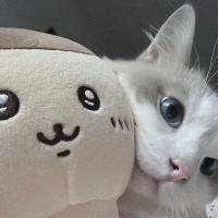 可豪传奇元宝工作室