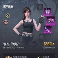 退游了，有意滴滴，3车3枪5粉装,还有200多天的特权卡
