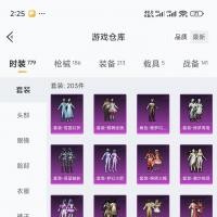 13粉，特效枪 5载具 连体号王者,v7二百皮肤