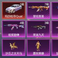  3载具 7升级枪 8粉装 5飞行器 200枪皮 151套装 79997热力 14印记 王牌