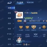   V7 2典藏 10传说 88史诗 320皮肤 119英雄 至尊星耀III