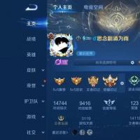  V10 5典藏 29传说 144史诗 422皮肤 123英雄 最强王者