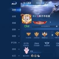 V7 1星传说 20传说 56史诗 195皮肤 123英雄 至尊星耀III