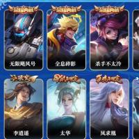 贵族9 荣耀典藏3 珍品传说1 星元皮肤1 传说皮肤23 史诗皮肤58 皮肤数量213 皮肤价值:204336 英雄123 非凡王者