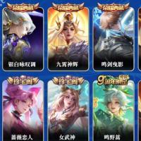 贵族贵7 荣耀典藏3 珍品传说2 传说皮肤5 史诗皮肤71 皮肤数量261 皮肤价值:220134 英雄123 最强王者 总场次11545