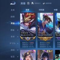 【小国标百里玄策】 贵族贵8 荣耀典藏1 无双2 珍品传说3 星元皮肤3 传说皮肤26 史诗皮肤95 皮肤数量320 皮肤价值:243980 英雄125 至尊星耀V 总场次12492