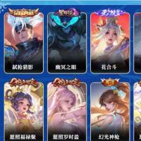 贵族贵7 荣耀典藏1 无双1 珍品传说3 星元皮肤1 传说皮肤13 史诗皮肤55 皮肤数量227 皮肤价值:162780 英雄125 非凡王者 总场次5005