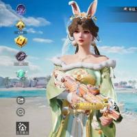 7升级枪 4粉装 241枪皮 143套装 王牌