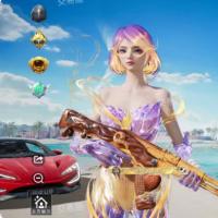 1载具 7粉装 143套装 铂金