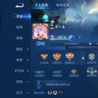 V8 1典藏 1无双 2星传说 17传说 105史诗 317皮肤 至尊星耀I